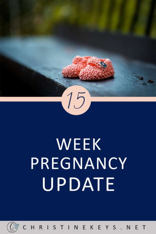 15 Week Pregnancy Update || Pregnancy symptoms at 15 weeks pregnant. #motherhood #pregnancy #babies #parenting