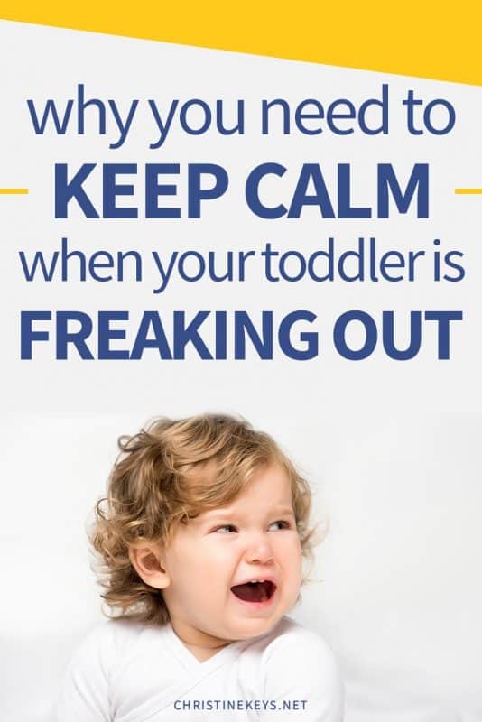 toddler's behavior