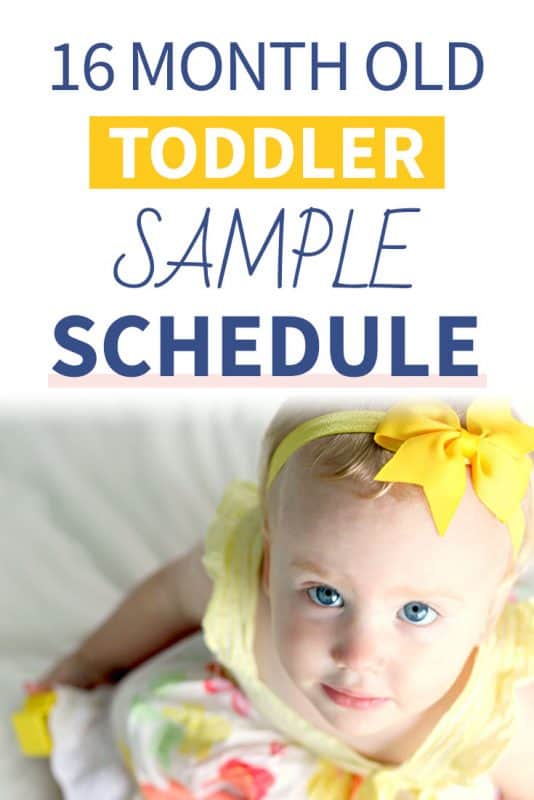Pinterest image about a 16 Month Old Sample Schedule