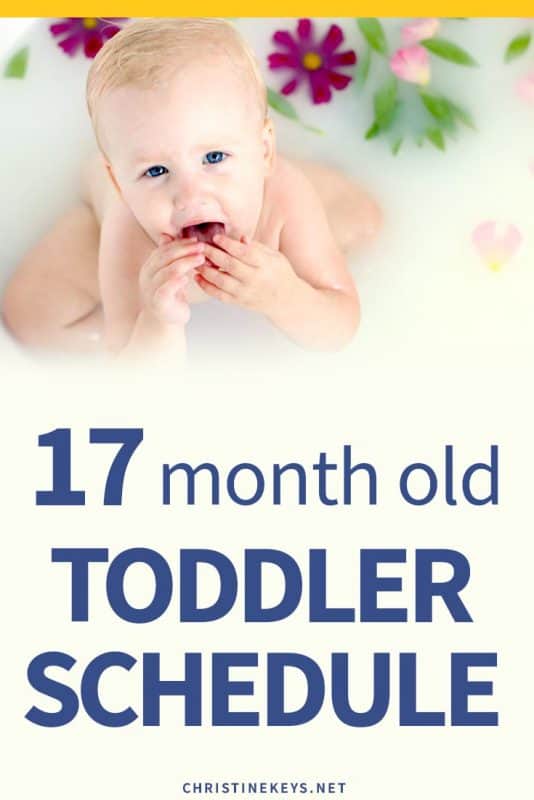 17 month old toddler schedule