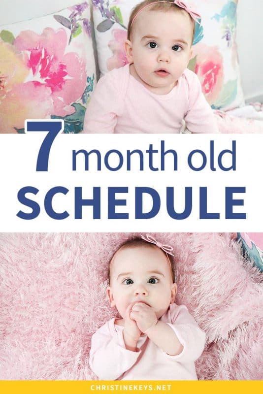 7 month old schedule