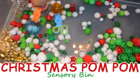 Image for Christmas Pom Pom Sensory Bin