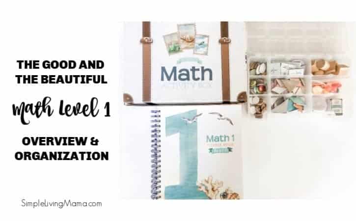 Image for The Good and the Beautiful Math 1 Overview and Organization