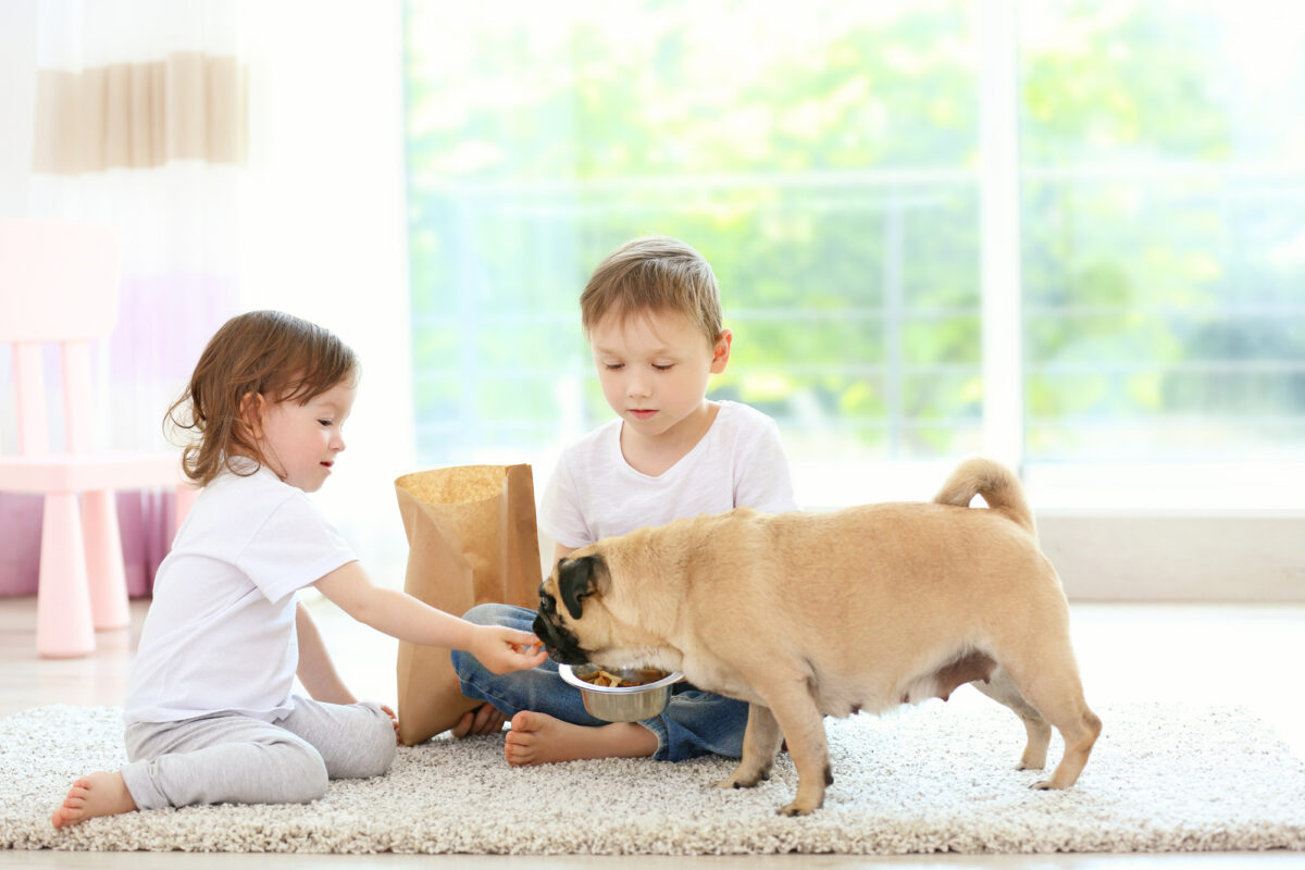 Cute boy and girl feeding small dog