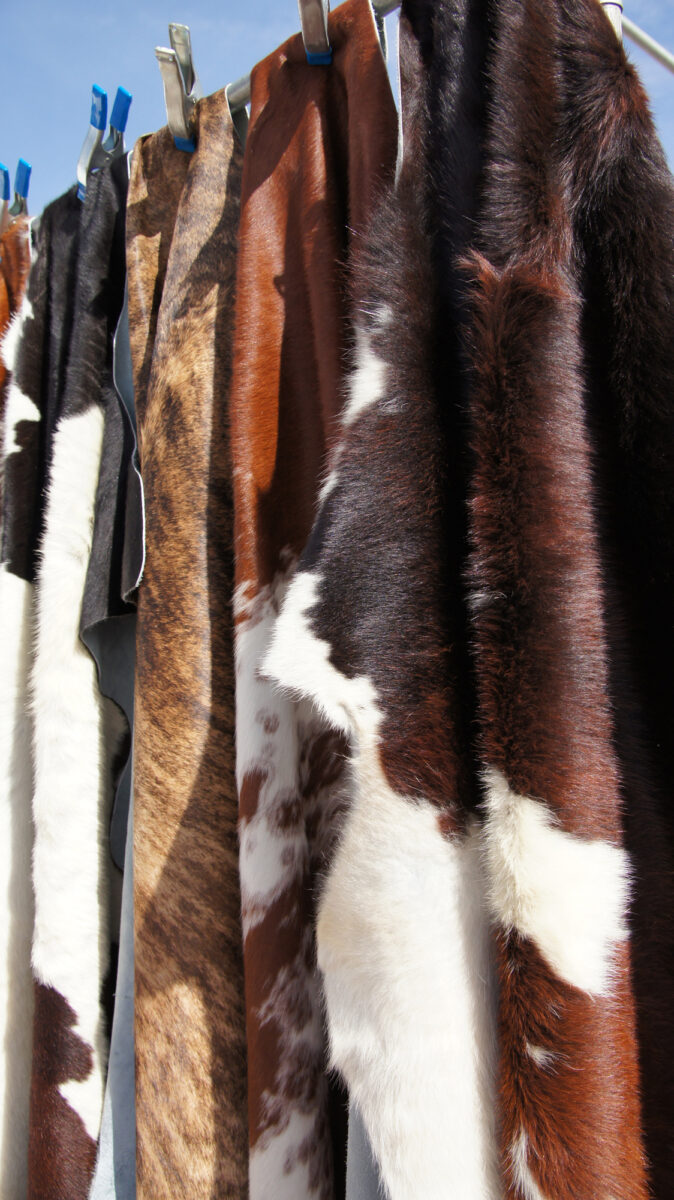 cowhide rug hanging outside