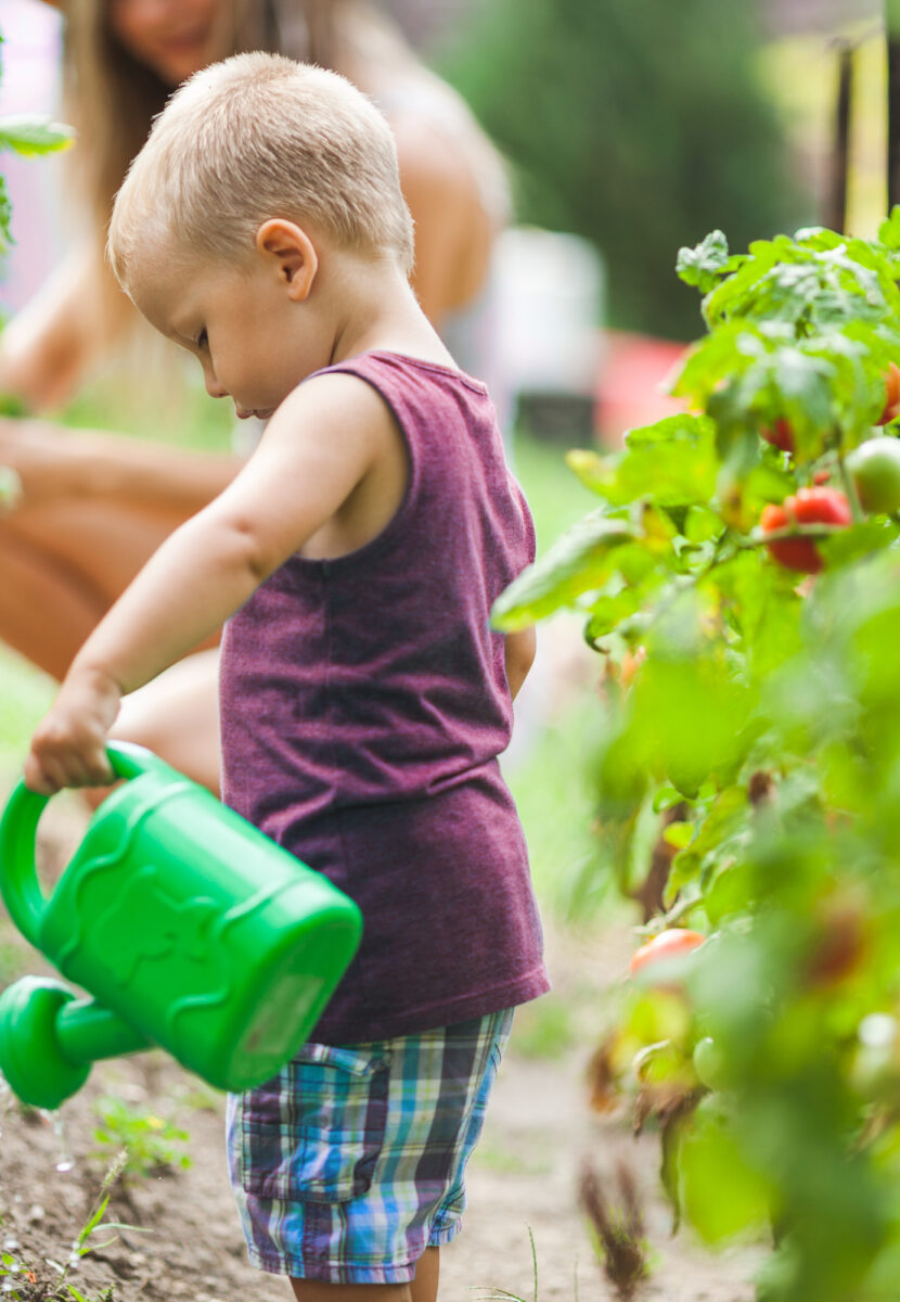 little boy gardening