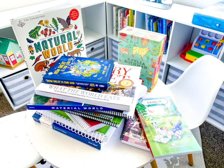 First Grade Homeschool Curriculum Choices for 2021