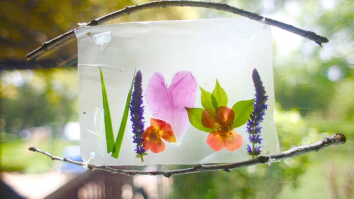 Image for Spring Suncatchers