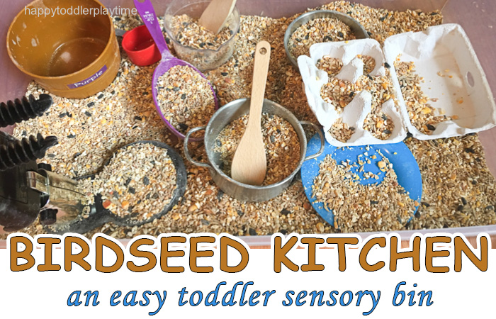 Image for Birdseed Kitchen Sensory Bin