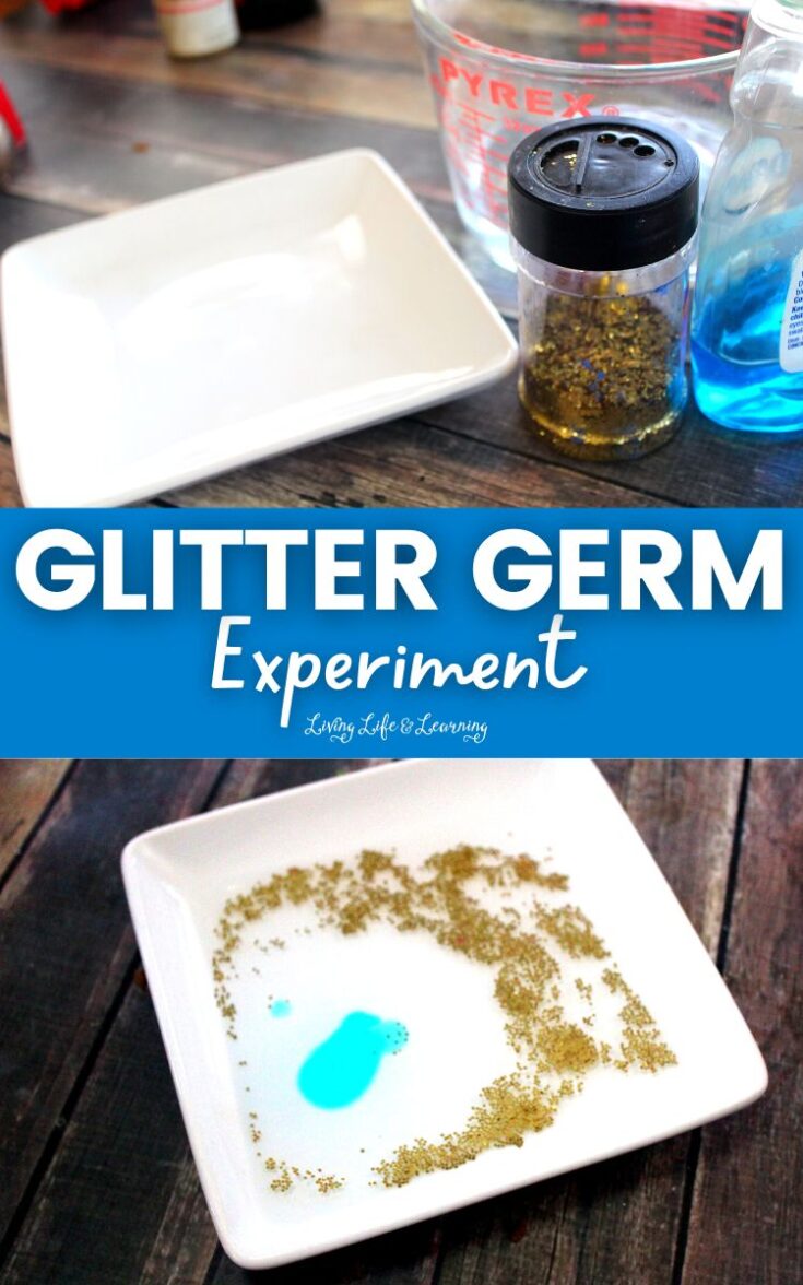 Image for Glitter Germ Experiment