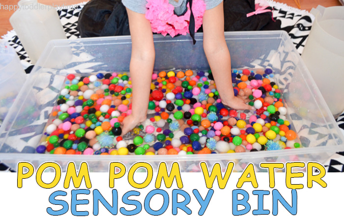 Image for Pom Pom Water Sensory Bin