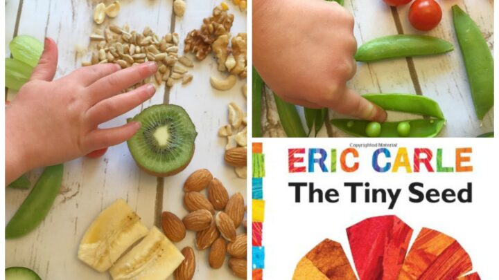 Image for the seeds we eat- nature sensory science for kids. Great with Eric Carle's Tiny Seed book