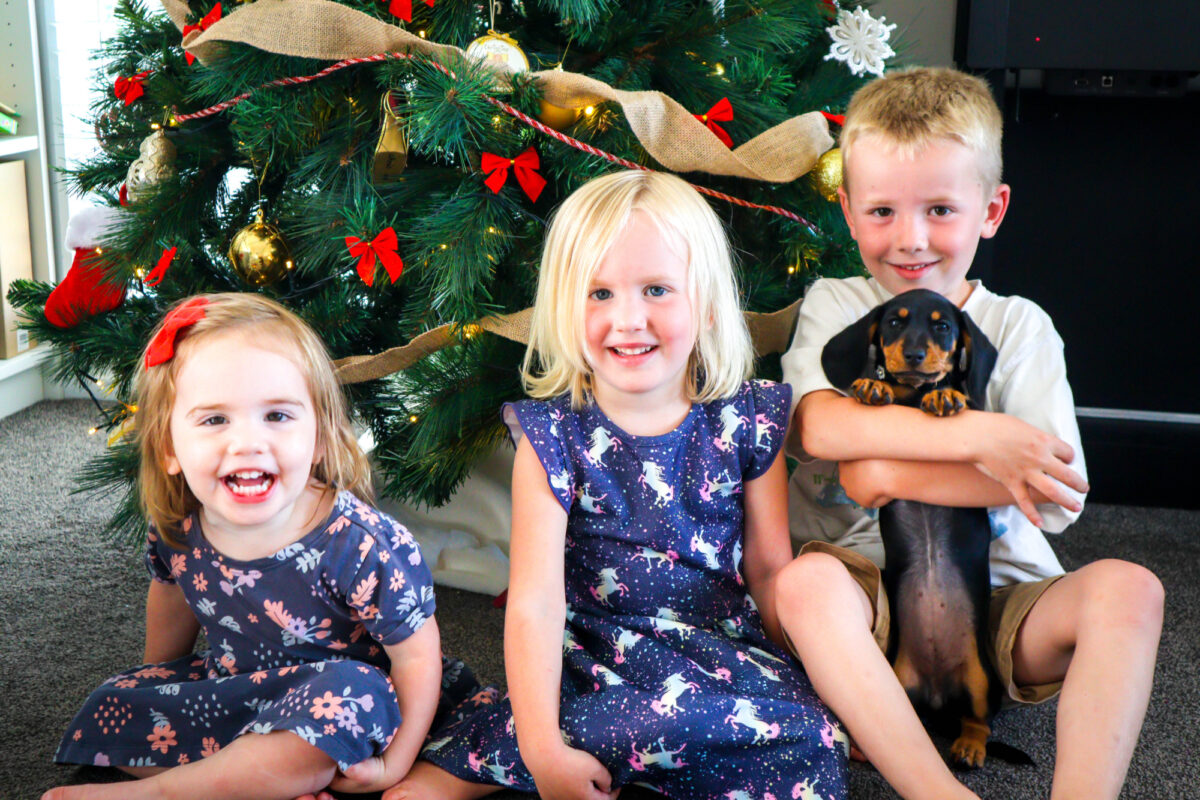 kids sitting in front of christmas tree