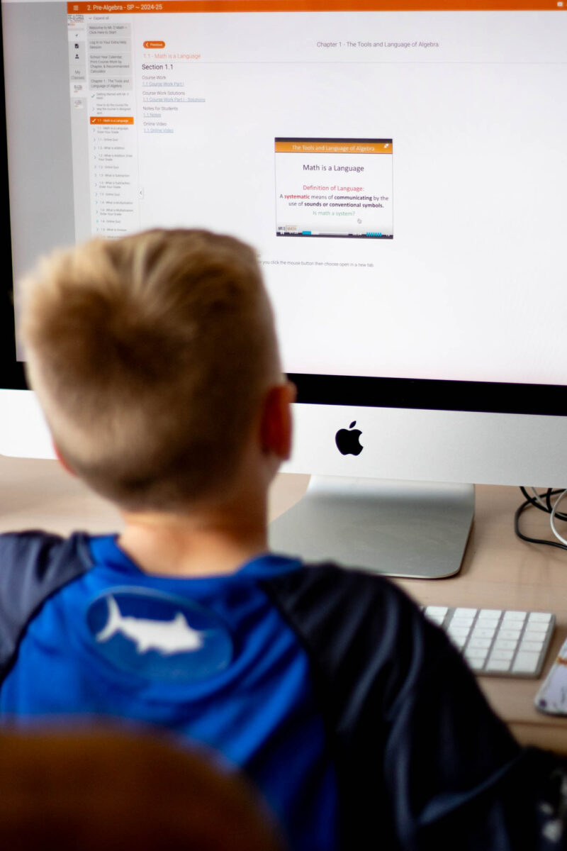 young boy using mr d math online