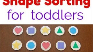 Image for Shape Sorting for Toddlers