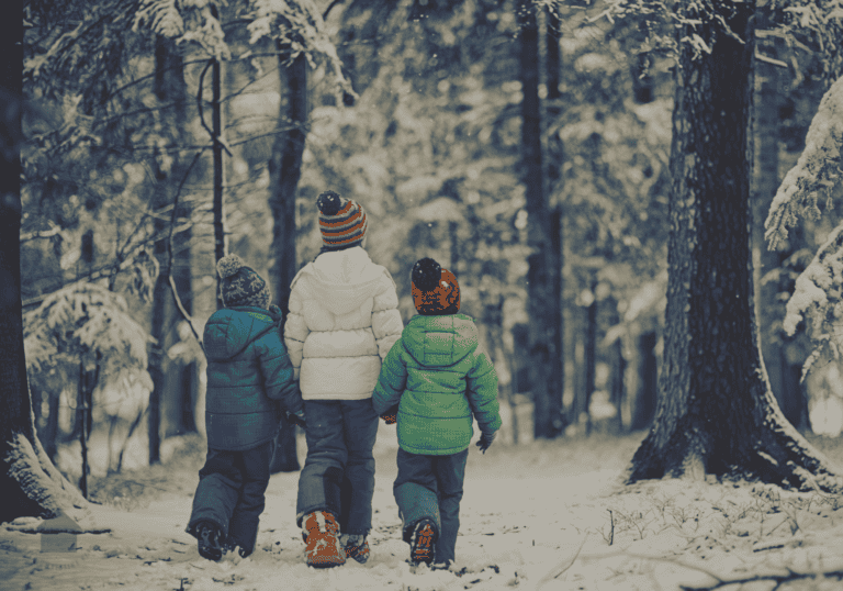 christmas nature walk
