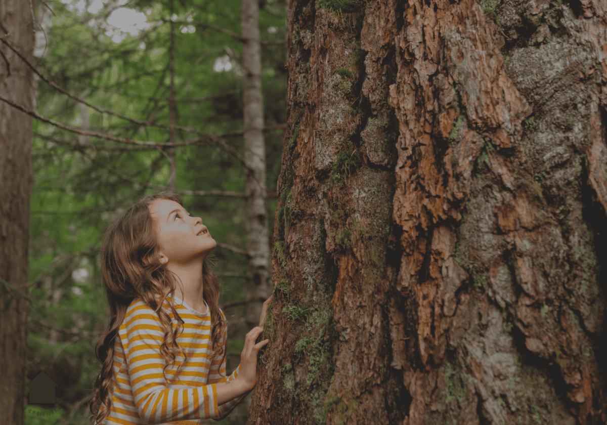 young girl observing tree bark