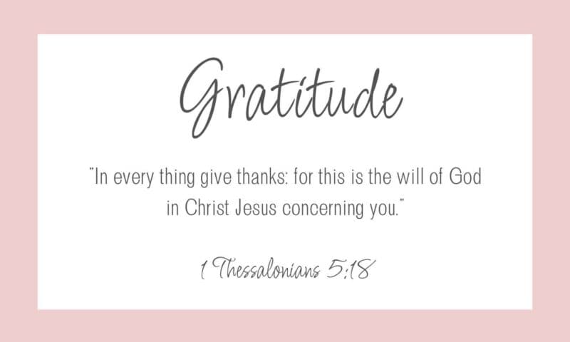 gratitude