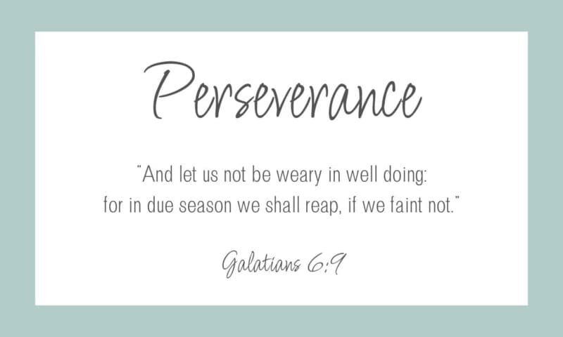 perseverance