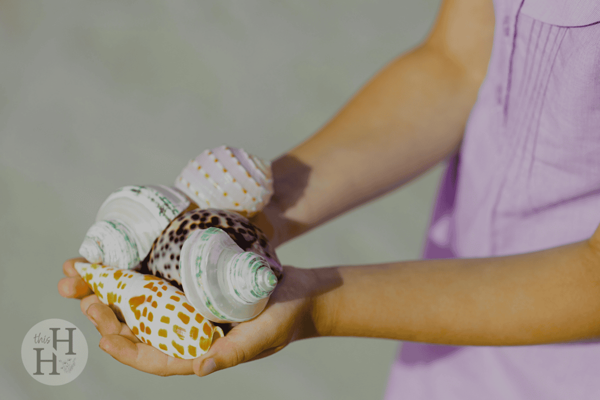 girl holding seashells