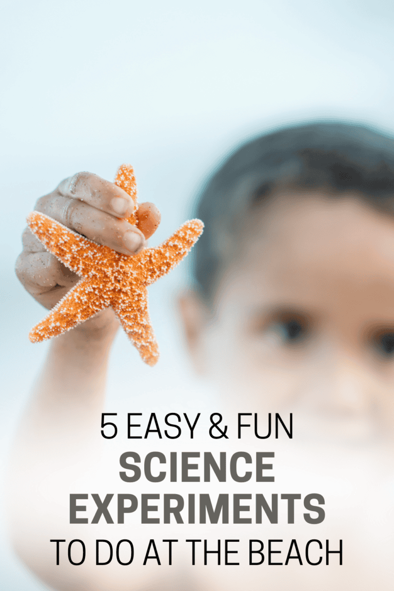 5 Easy Science Experiments for Kids at the Beach — This Homeschool House