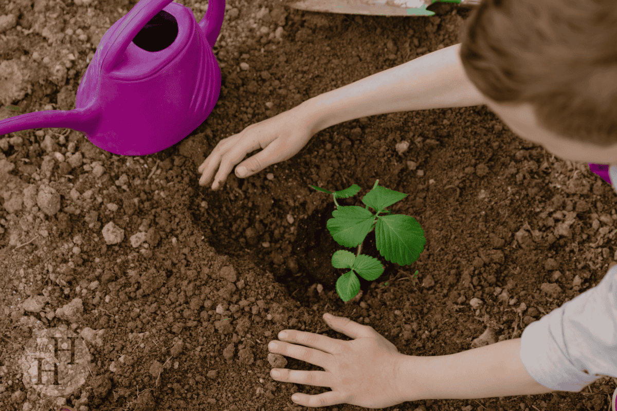 child planting plant