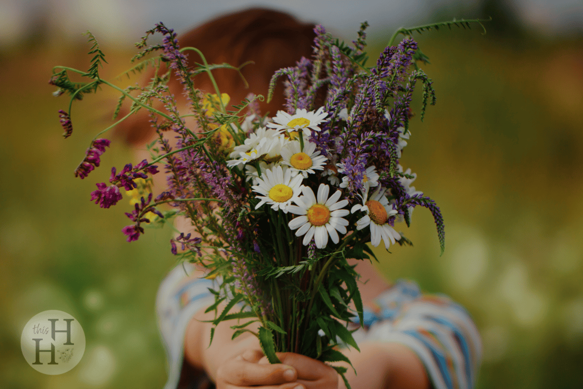 boy giving flowers
