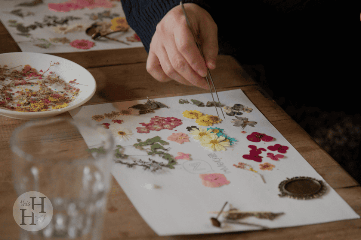 pressed flowers