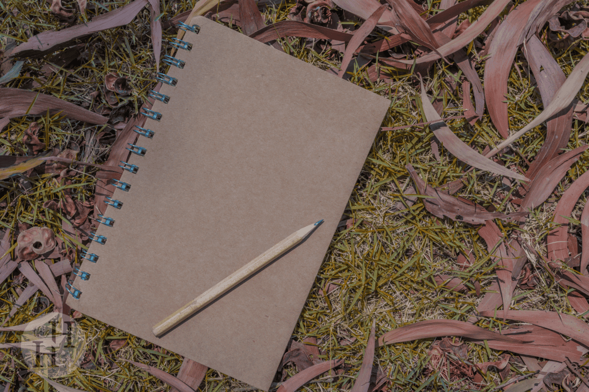 nature journal