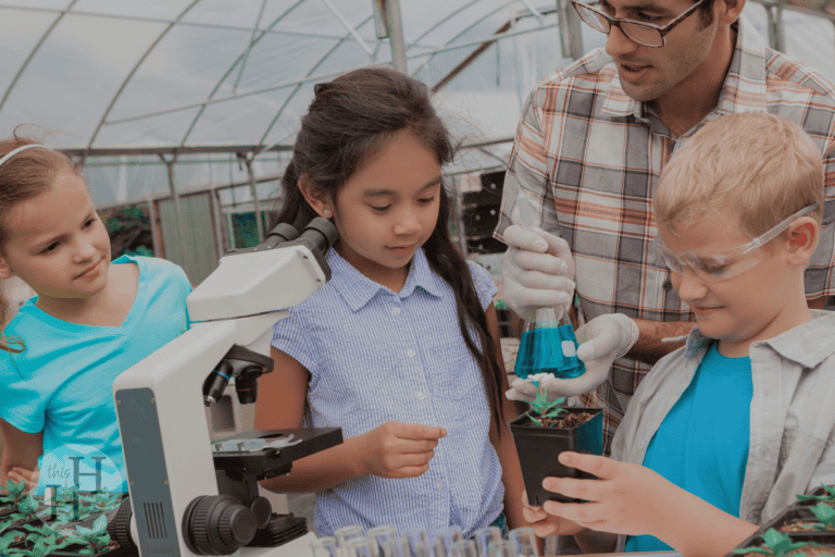 homeschool field trips ideas