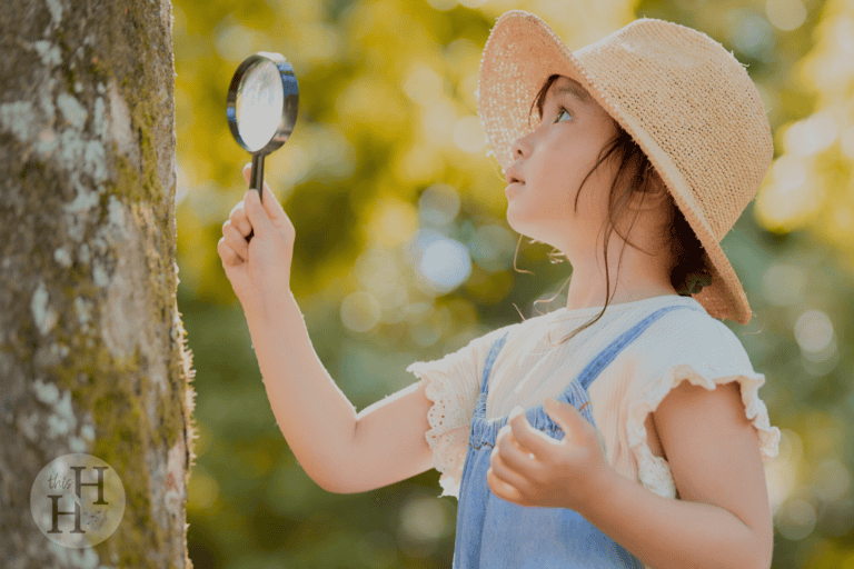 homeschool summer learning activities