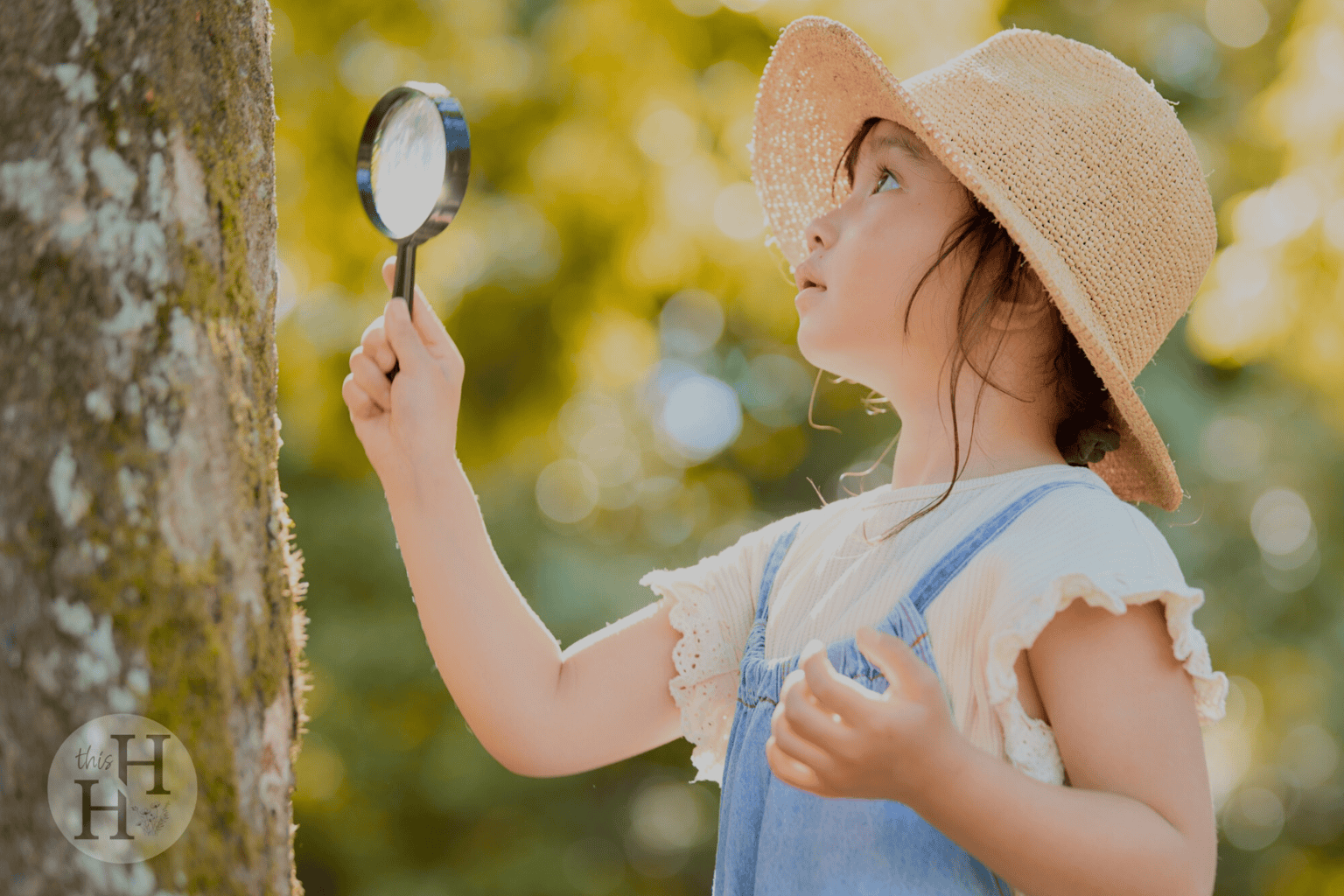 homeschool summer learning activities
