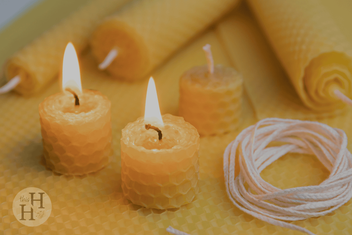 beeswax candles