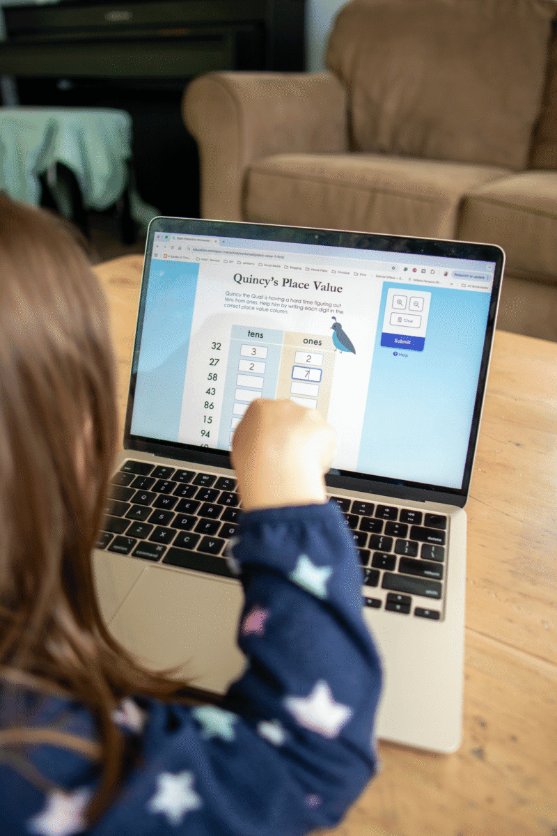 interactive worksheet