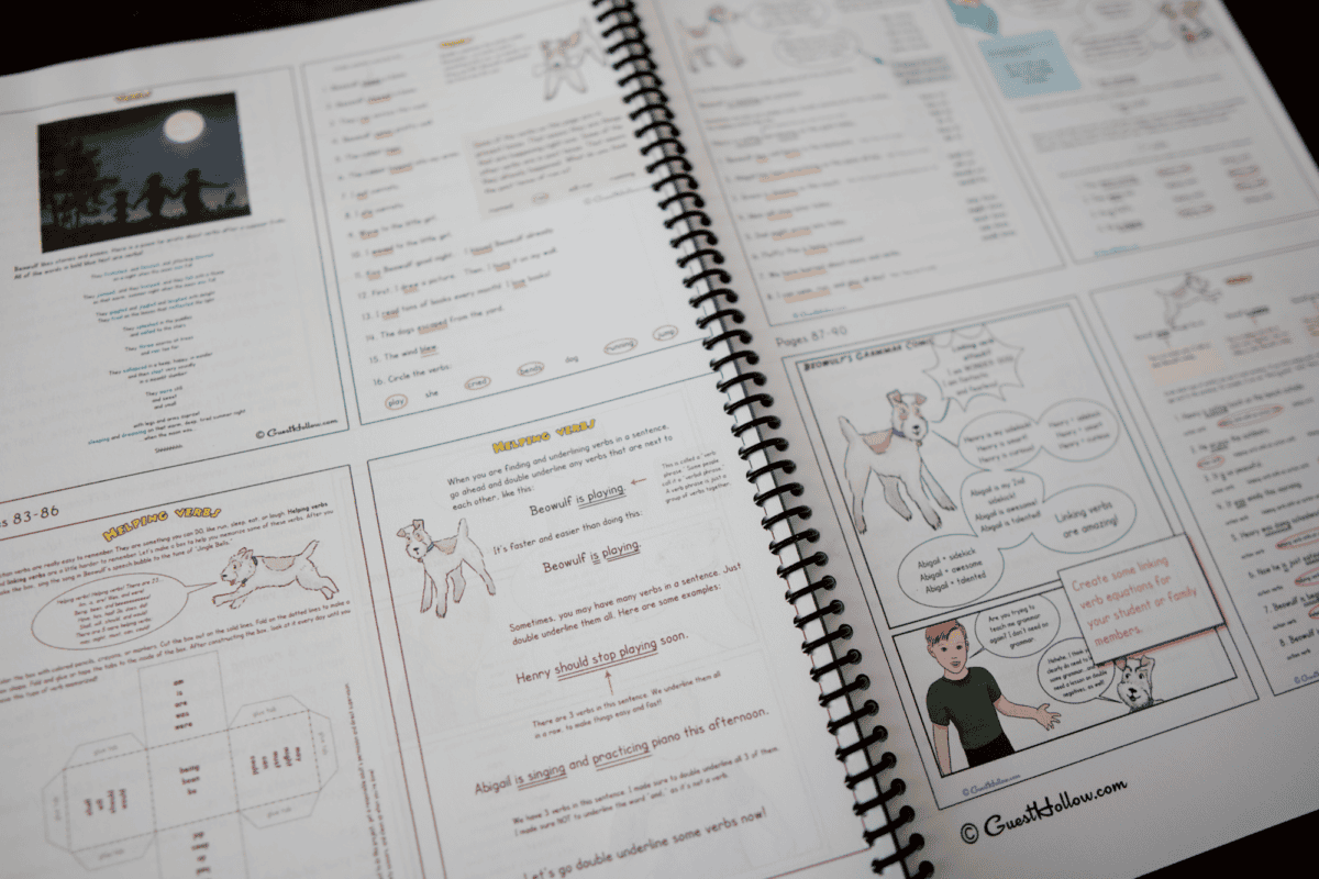 teacher guide