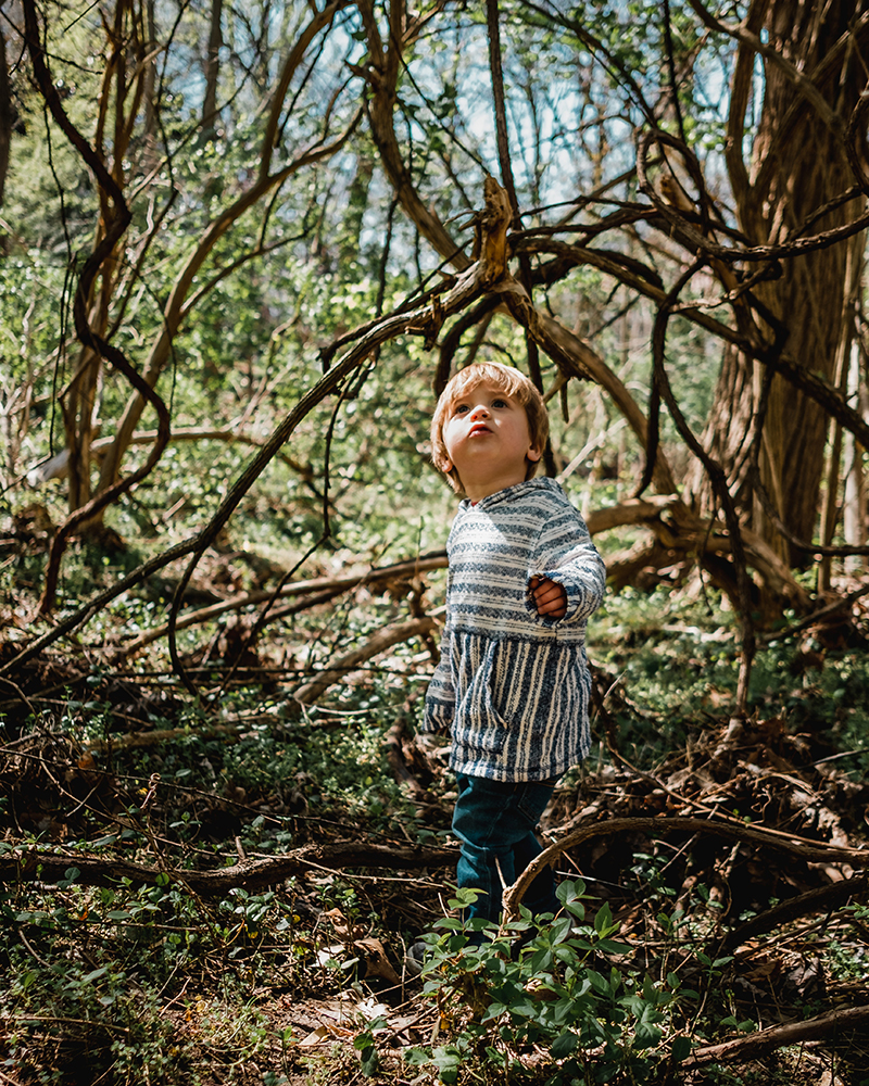 5 Cheap and Easy Outdoor Activities for Toddlers