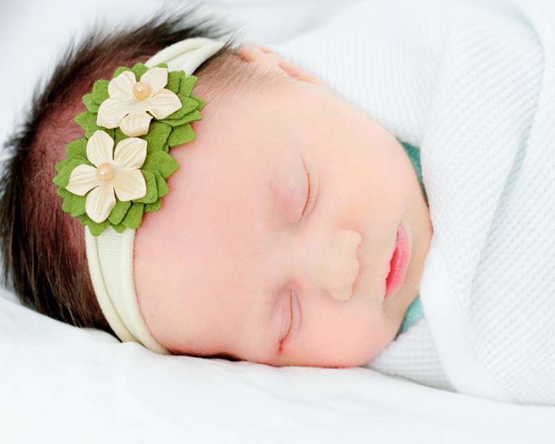 Babywise vs Moms on Call: 5 Differences You Need to Know About