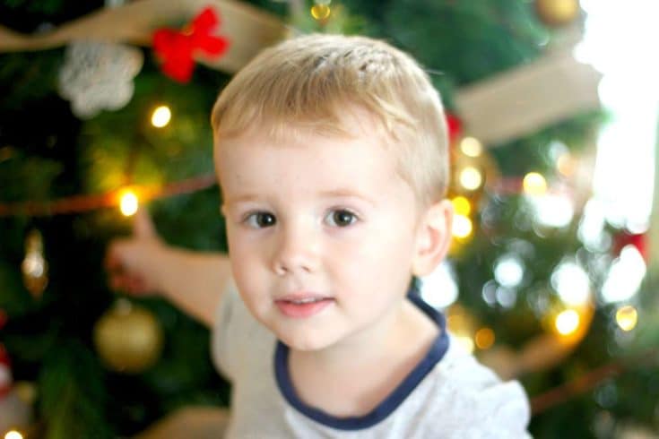 Image for Easy DIY Ornaments: A 5 Minute Family Tradition