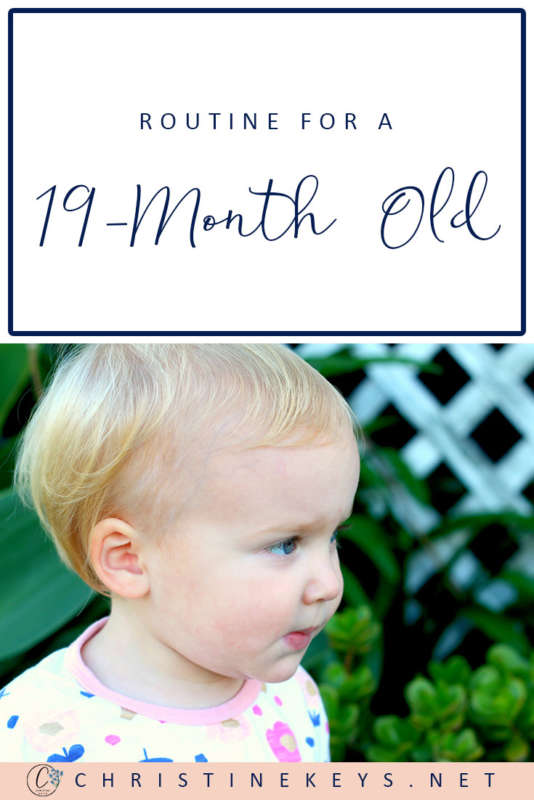 Routine for a 19-Month Old! || This is Annie's May 2018 summary. How her routine looks and any changes that have taken place. #baby #toddler #19months #parenting #motherhood #sleepschedule #babysleep