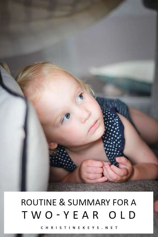 Routine & Summary for a 2-Year Old || Take a look at what a 2-year old's routine can be like. How much sleep is appropriate and some of their favourite toys. #toddler #routine #toddlerroutine #parenting