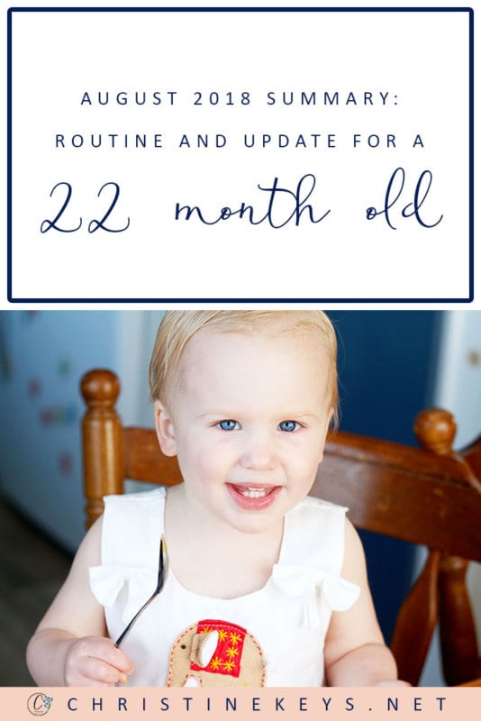 August 2018 Summary: Routine and Update For a 22-Month Old || Find out how things are going in this update. How is potty training going? #parenting #toddlers #toddler #toddlerroutine #motherhood #routines