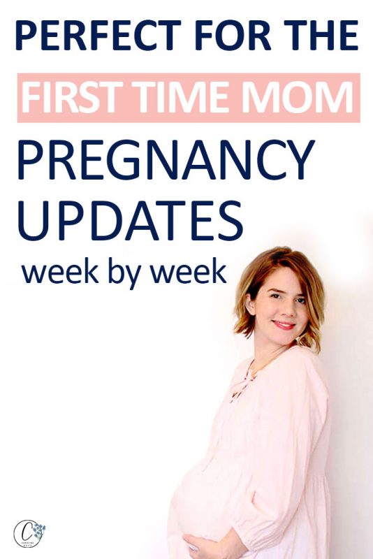 Pinterest image about pregnancy updates
