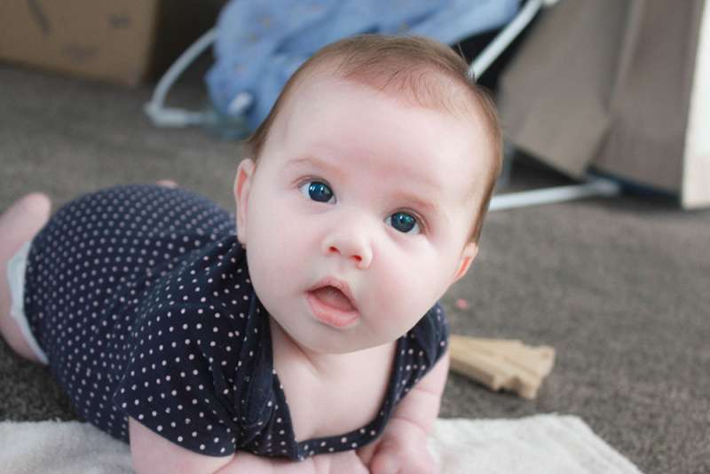 Week Eleven: Charlotte's Newborn Summary
