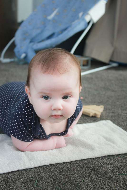 Week Eleven: Charlotte's Newborn Summary