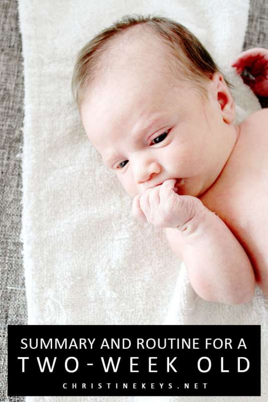 Summary and Routine for a Two-Week Old || Read about how things went during week two as well as the routine that we're working towards. #parenting #babies #baby #newborn #postpartum #babywise #momsoncall #routine #babysleep