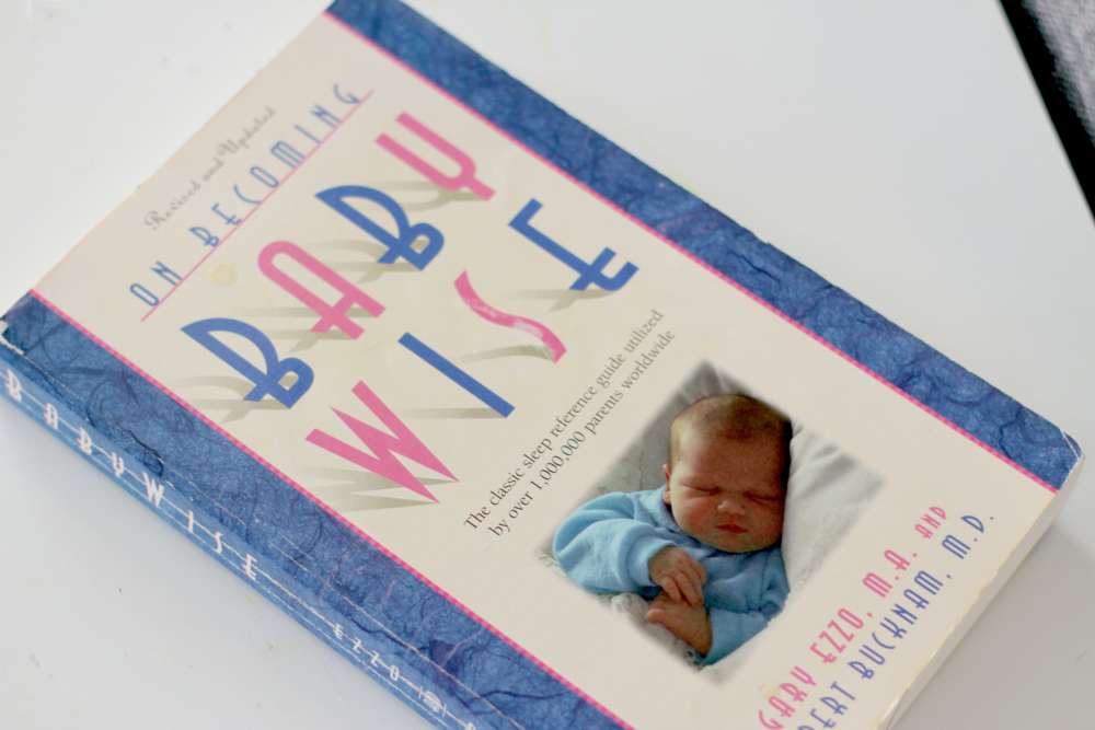 Image of the Babywise Book