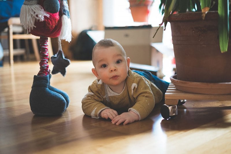 When to Start Discipline & How to Do It